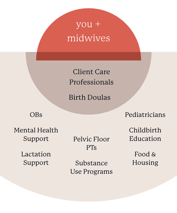 Three concentric semi-circles illustrate how Quilted Health patients and their midwives fit within a team of medical and community support professionals